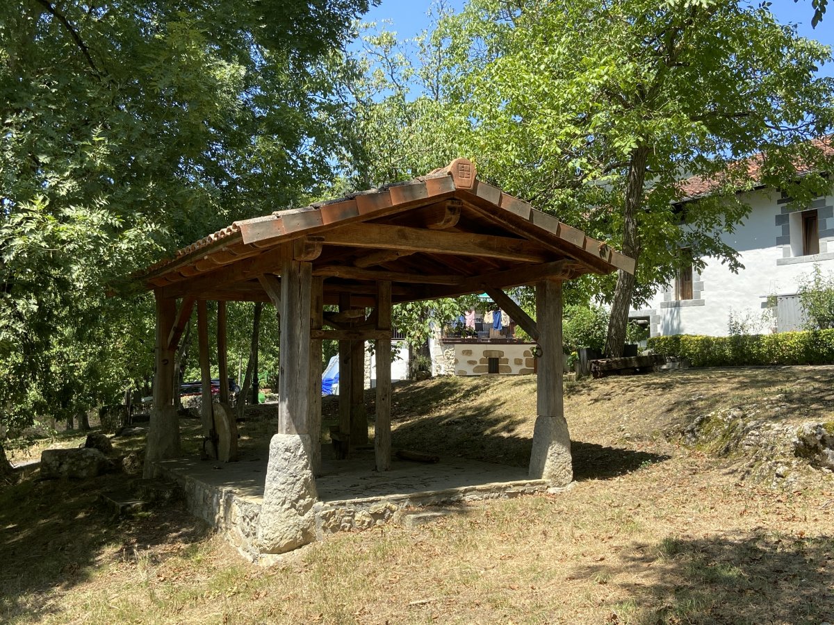 Perratokia. Dima (Artaun)