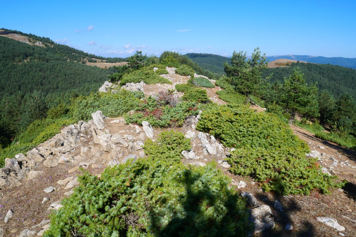 Milingrate aldeko pasarte bat