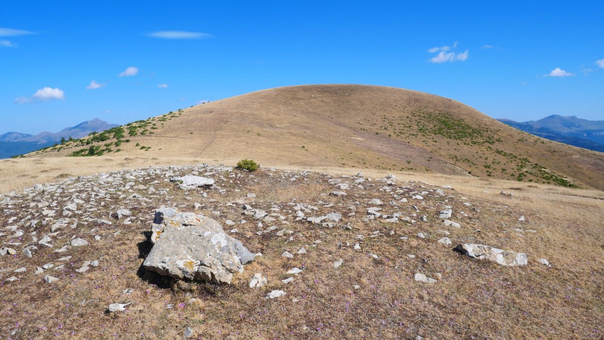 Largintia trikuharria eta Kakueta / Peñablanca