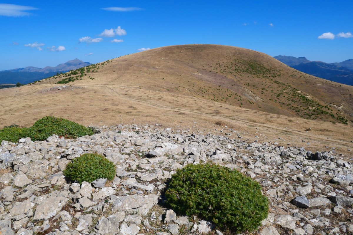 Kakueta / Peñablanca Htik ikusita