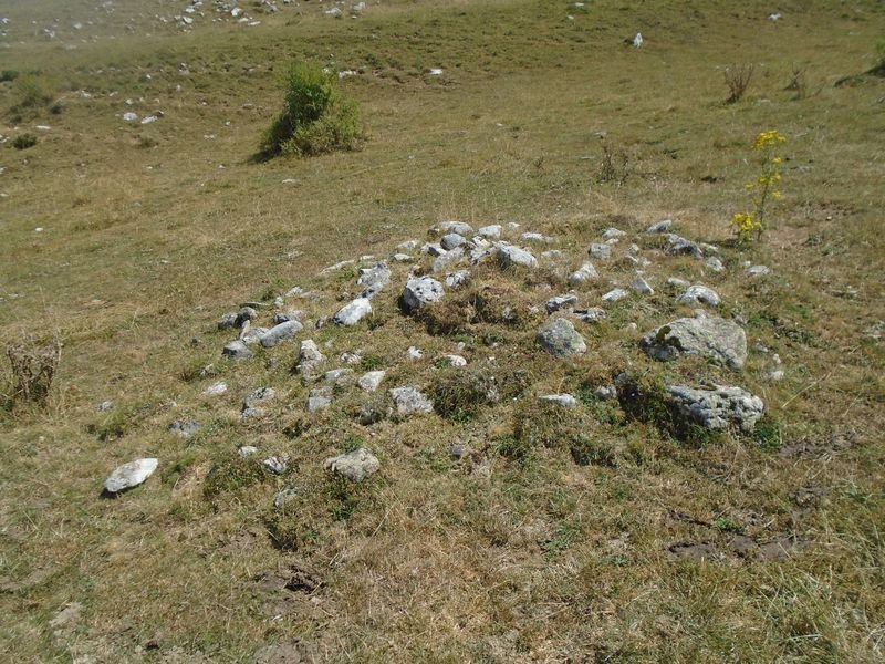 mampodre norte