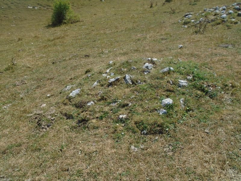 mampodre norte