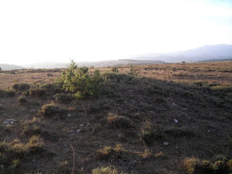 ladrera