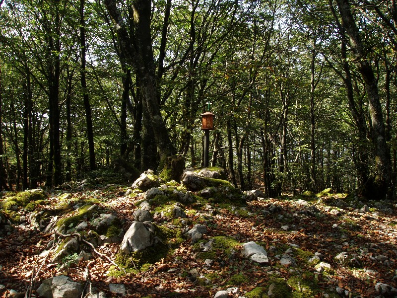 Larrazpilgo gailurra