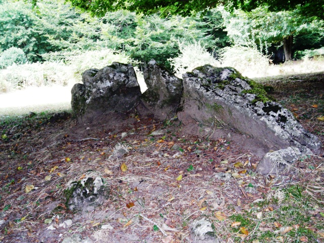 Portillo de las Majadas de Eulate trikuharria