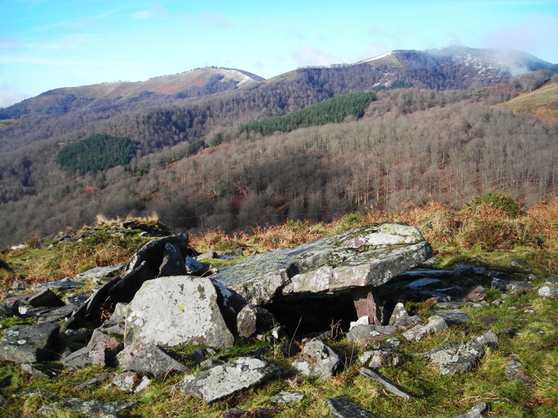 Mendibil trikuharria