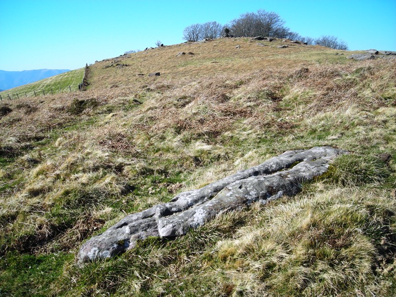 Altsoroi 2 ipar zutarria