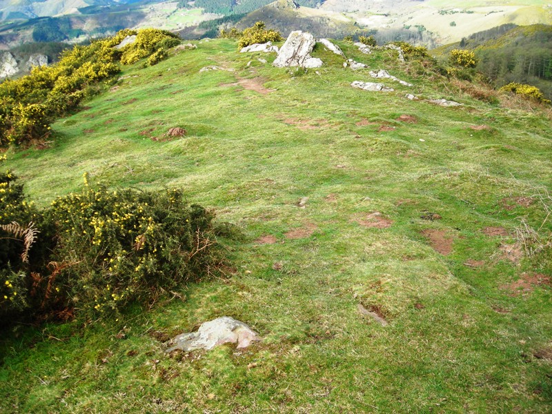 Boreiko Arri 2 harrespila