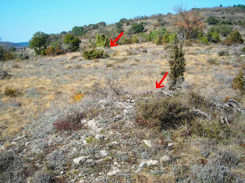 Güenda eremu tumularra