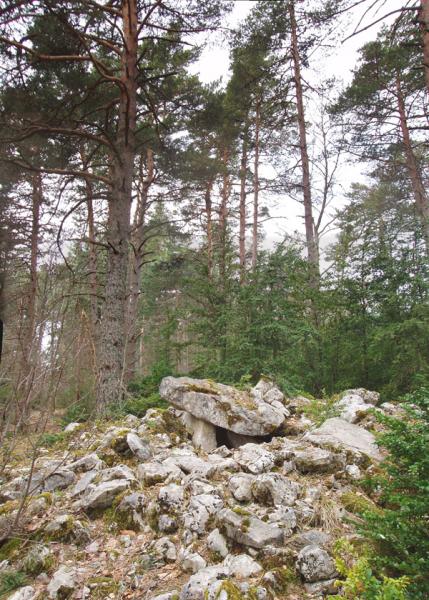 Turendoko trikuharria