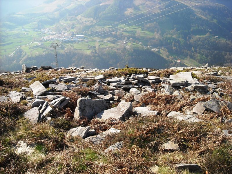 Latargi 9 trikuharria