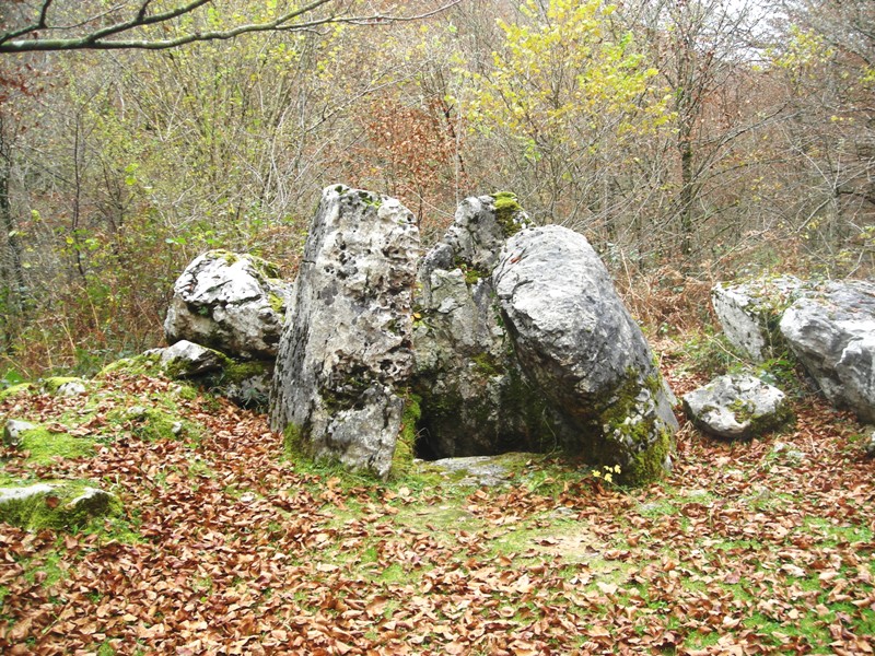 Ithe I hego trikuharria