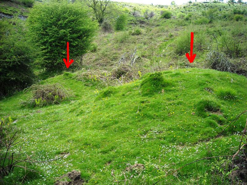 Udoia etxola hondoak