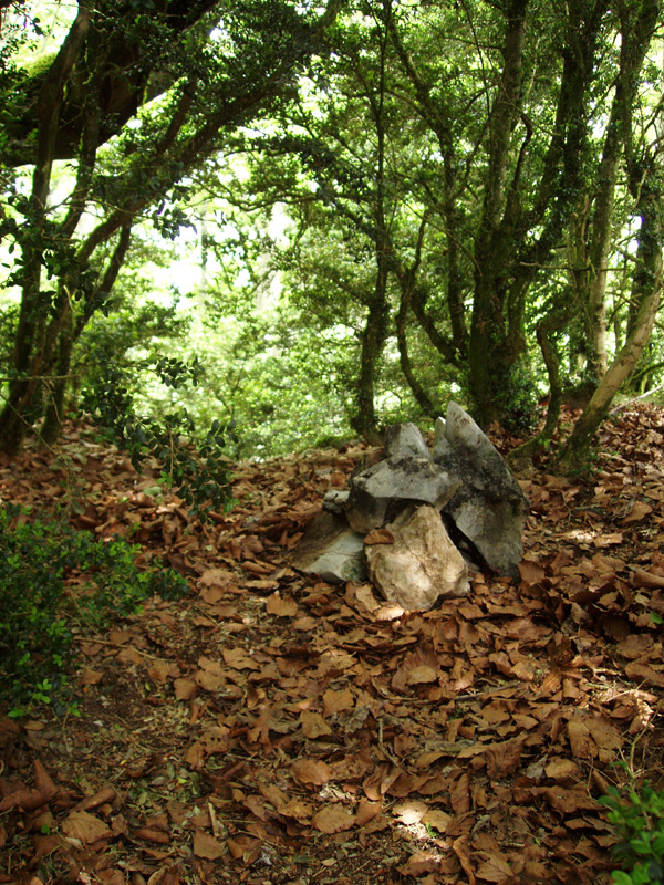 Liraingo gailur itxia