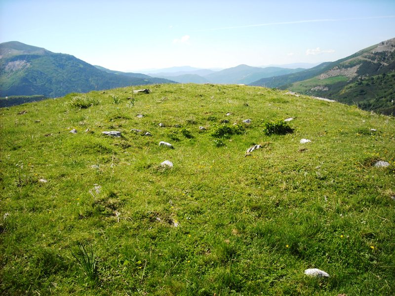 Loma de Chitón trikuharria