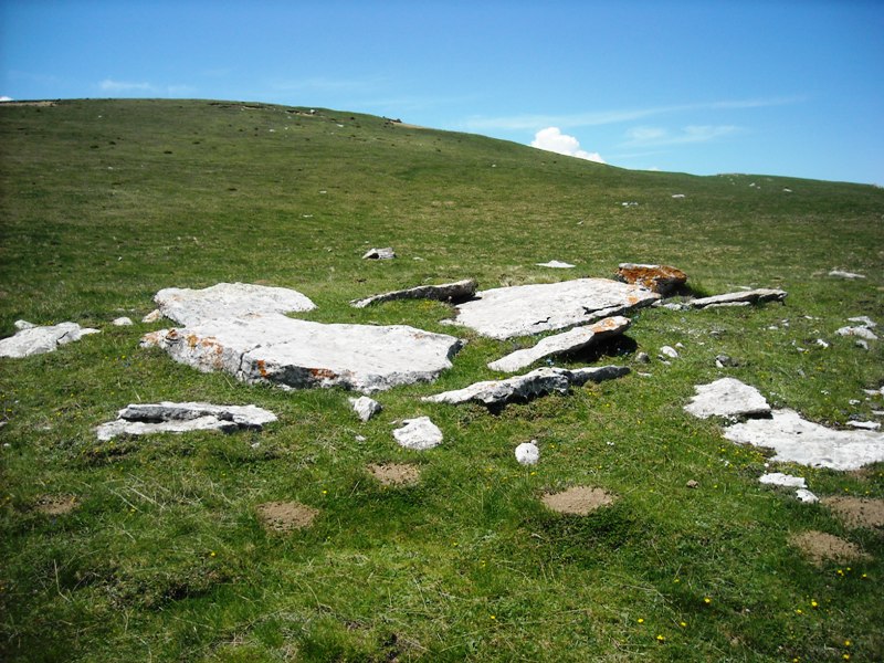 Solano de Ezkaurre trikuharria