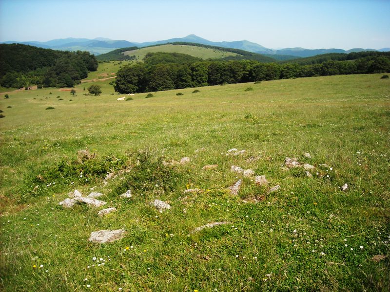 Erdikolarre eremu tumularra