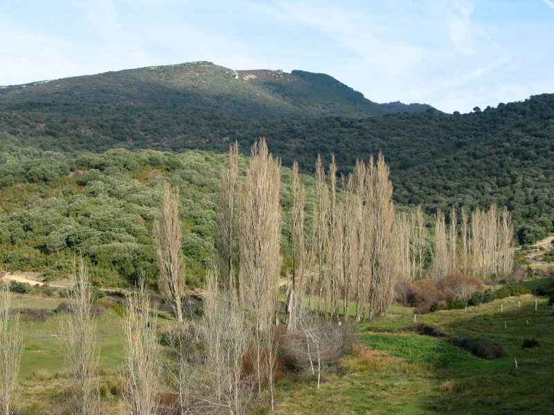 Untzue eta Alaitz arteko bailararen ikuspegia