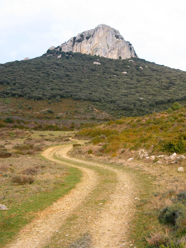 Haitza igoerako bidetik