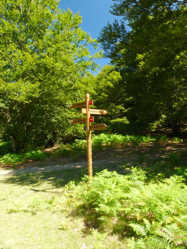 Intsustiko lepoa, Begaña eta Irumugarrieta artean
