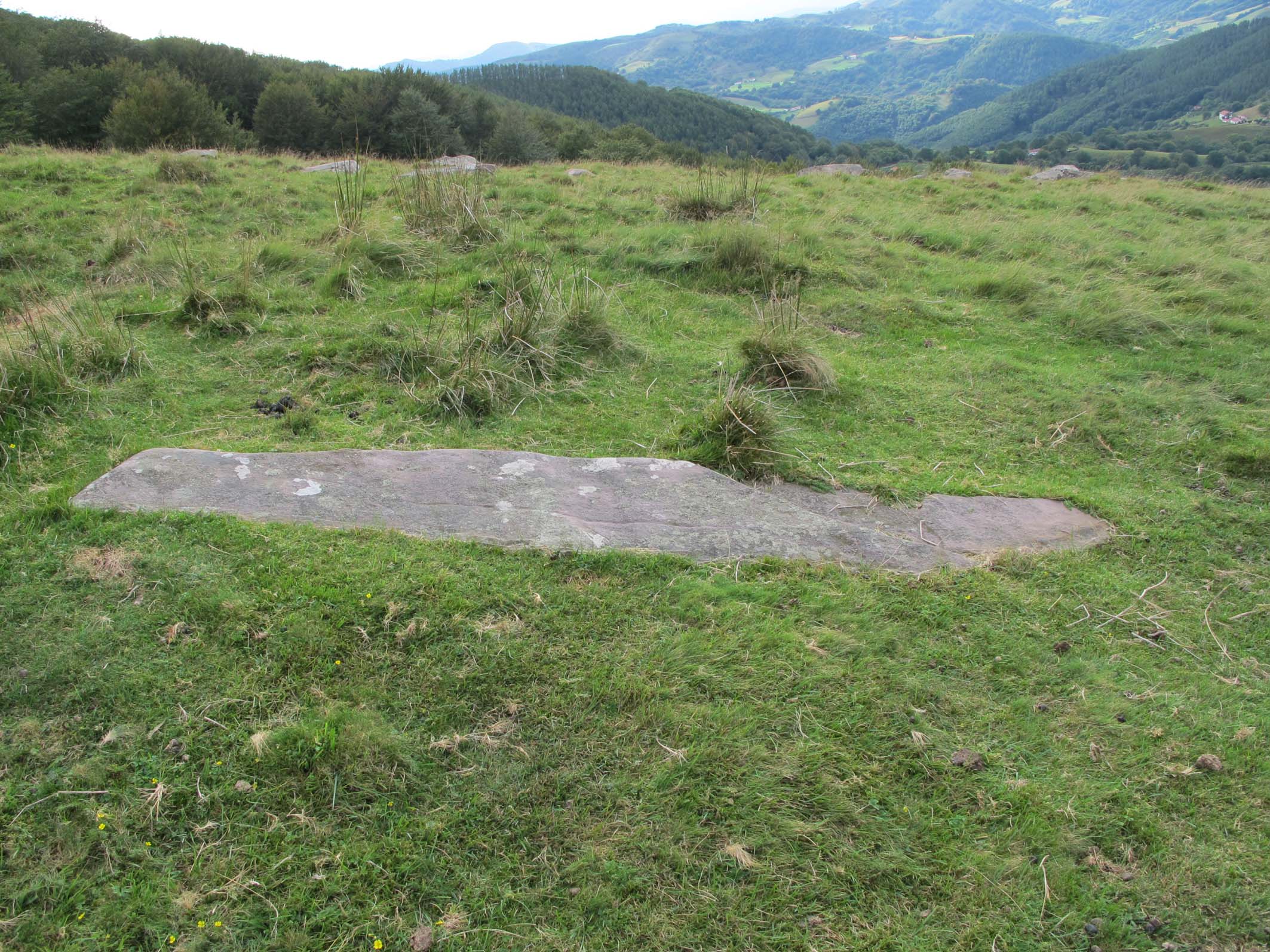 ARTXUBIETAKO BIZKARRA