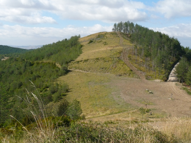 Irotzalde, iparraldetik