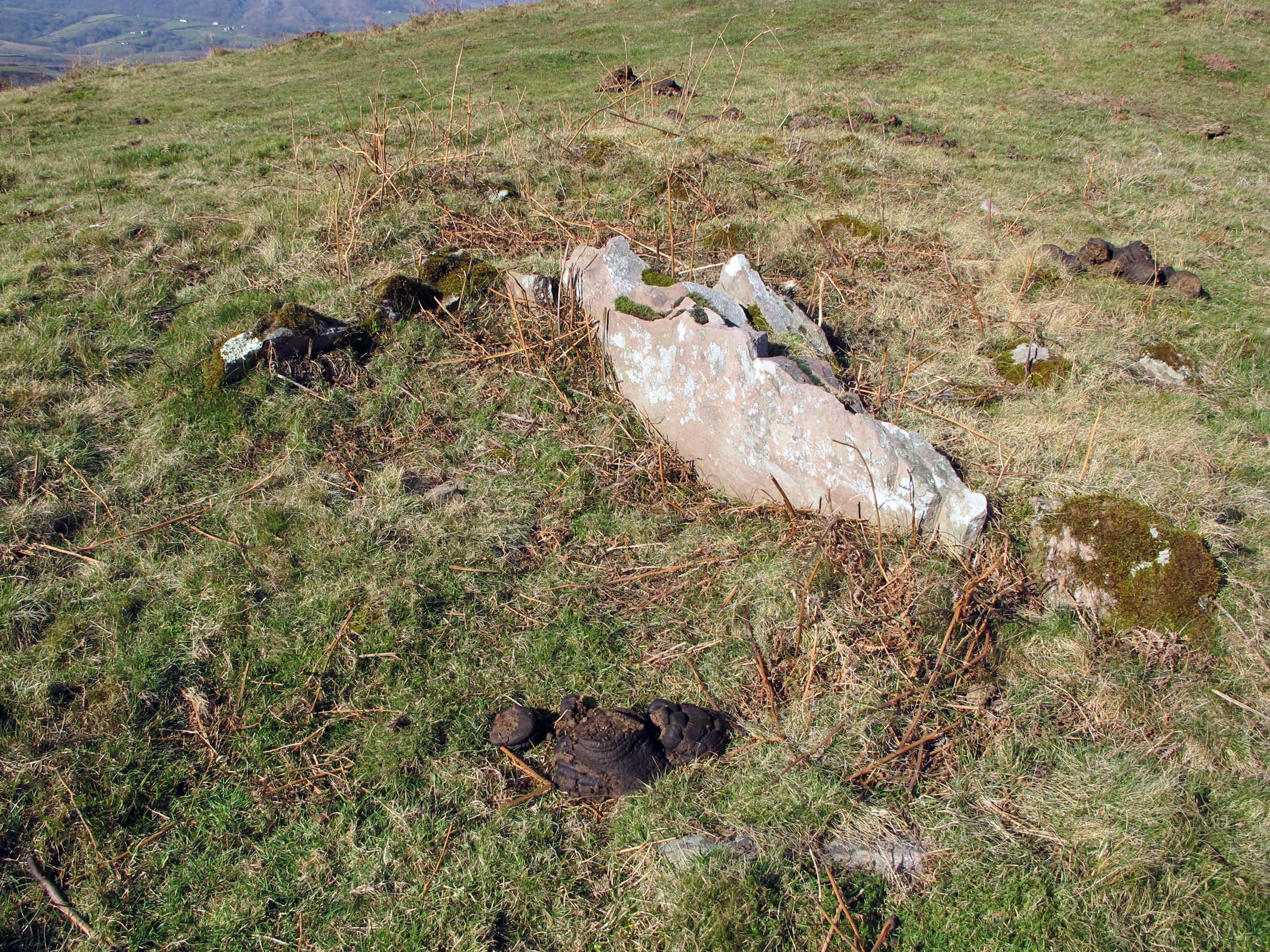 ETXEBERRIKO ARDIBORDA