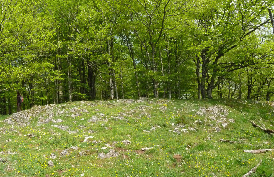 Elkarrikoako gailurra