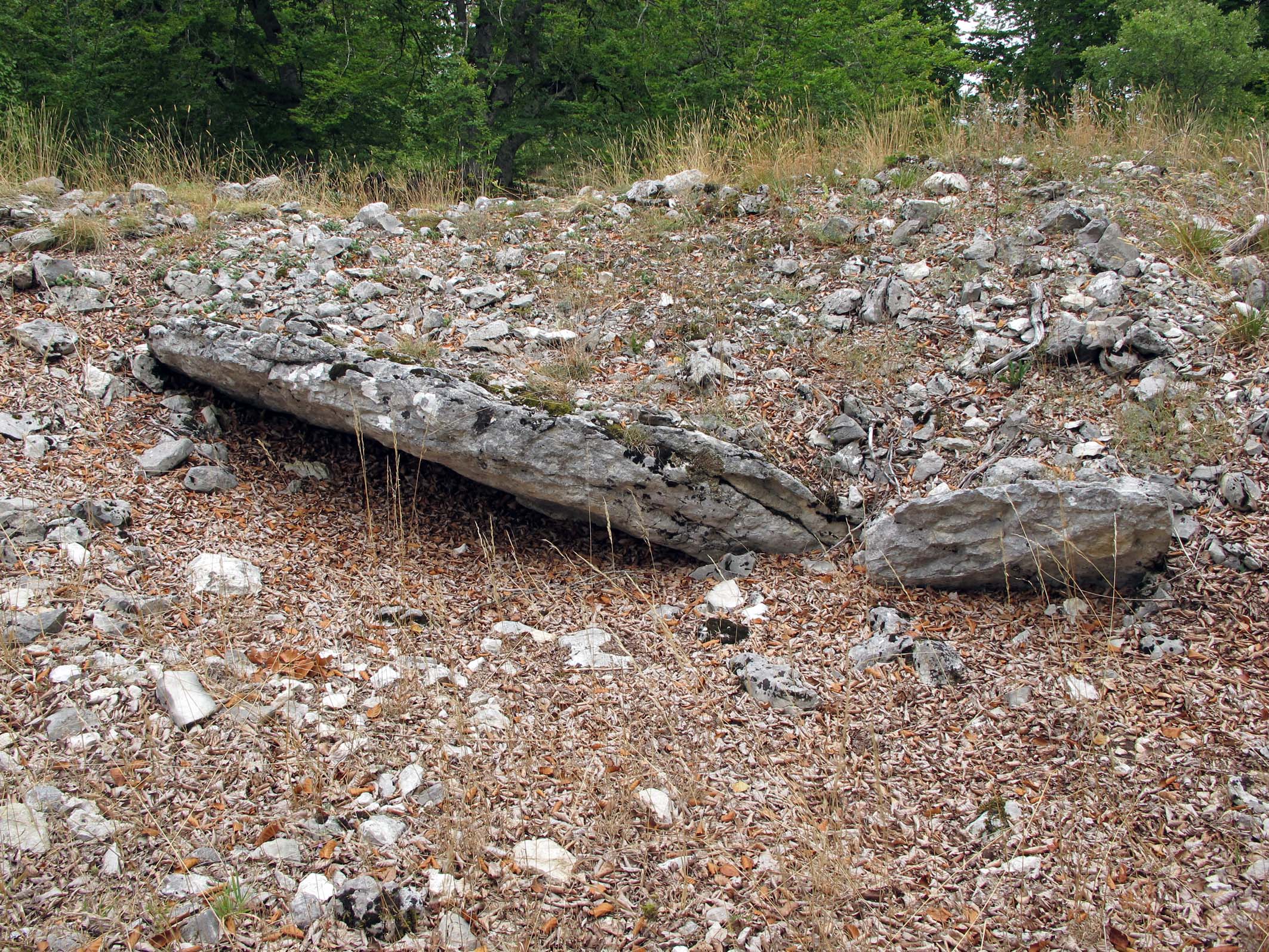 Puerto Viejo de Baquedano 1 Ipar