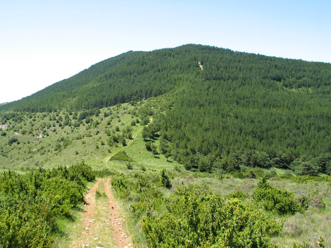 Iparraldeko isurialdea