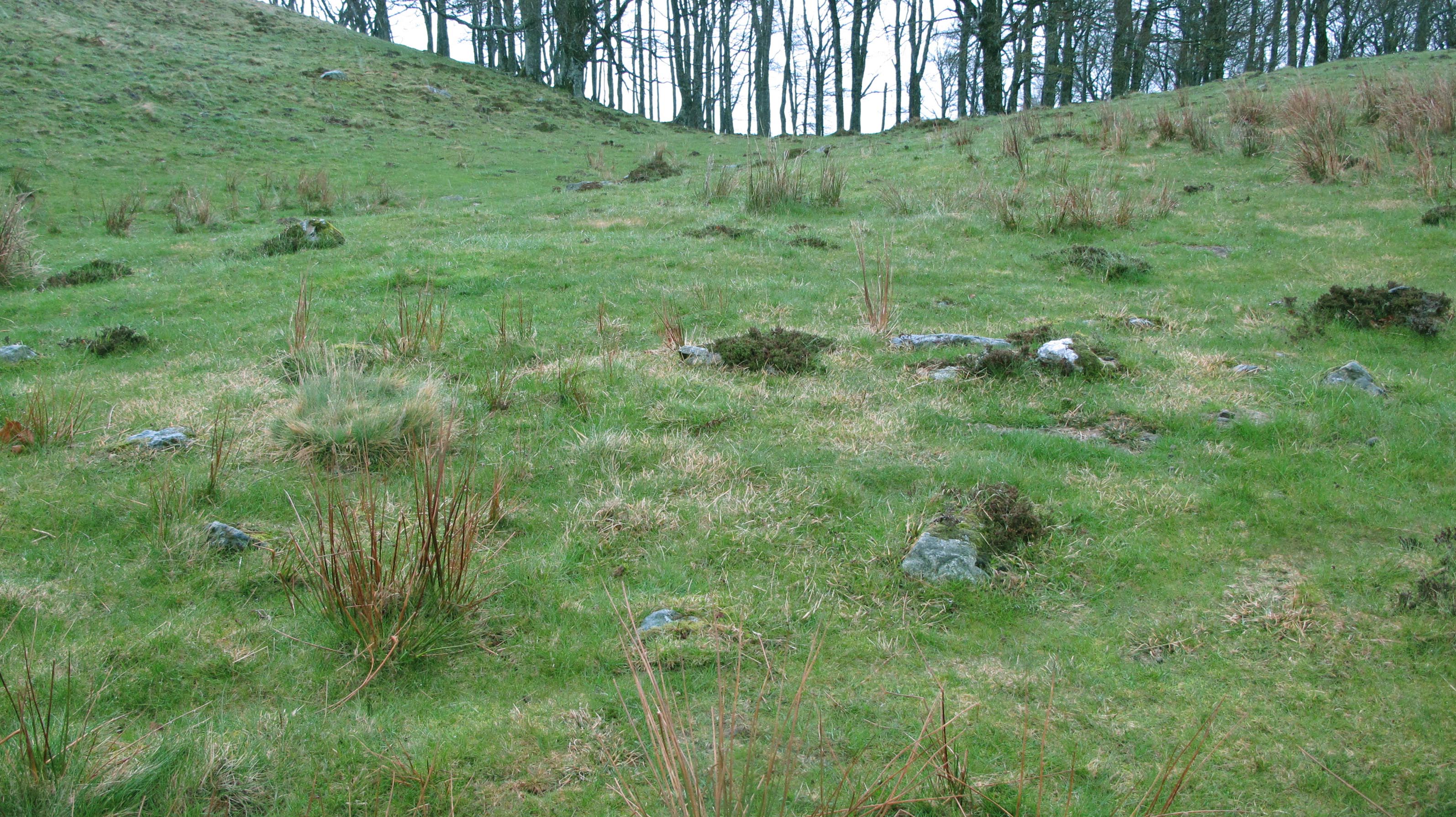 Zurzai Hego harrespila