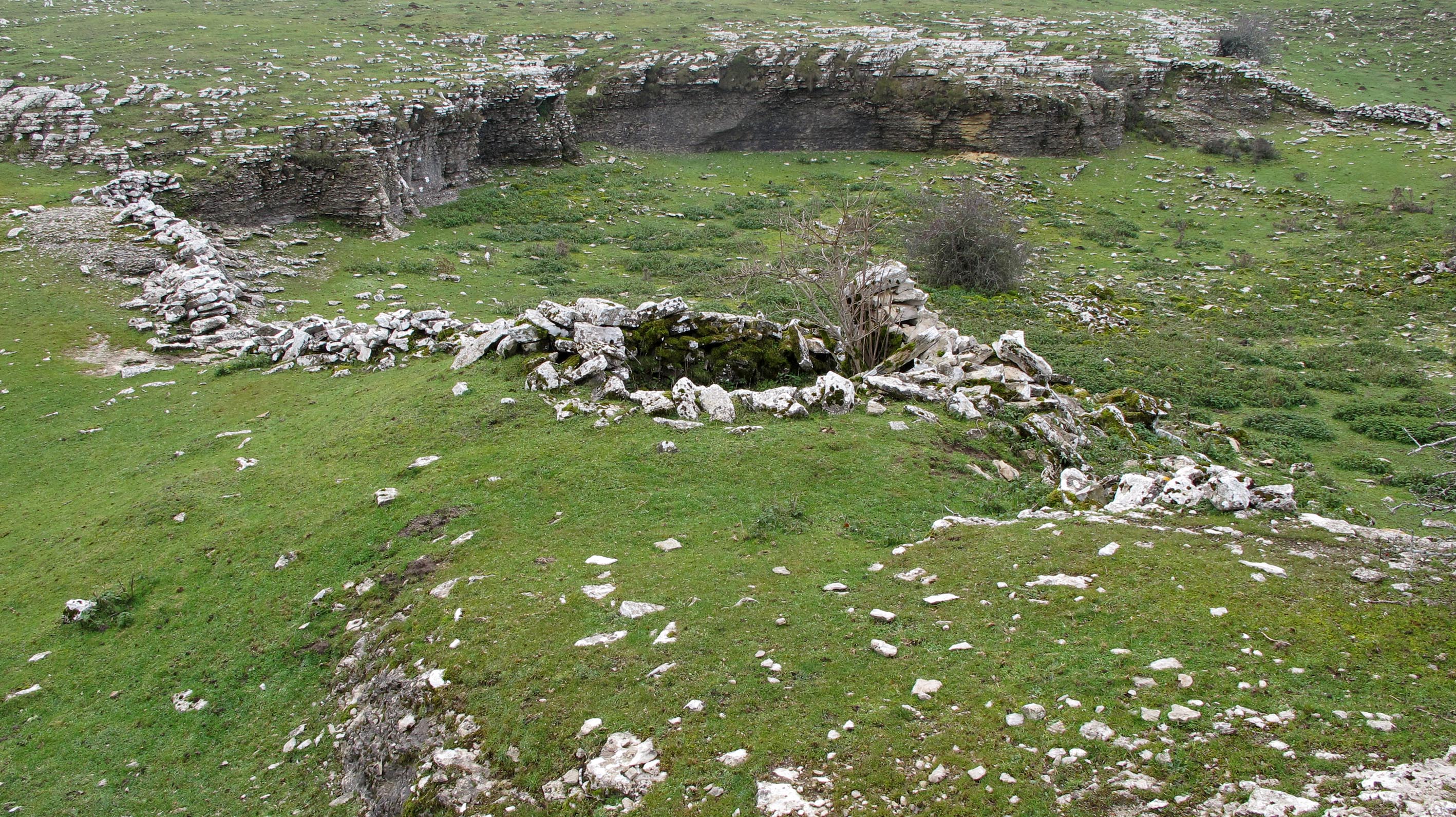 Ollaskardi txabola tumularra, Andia