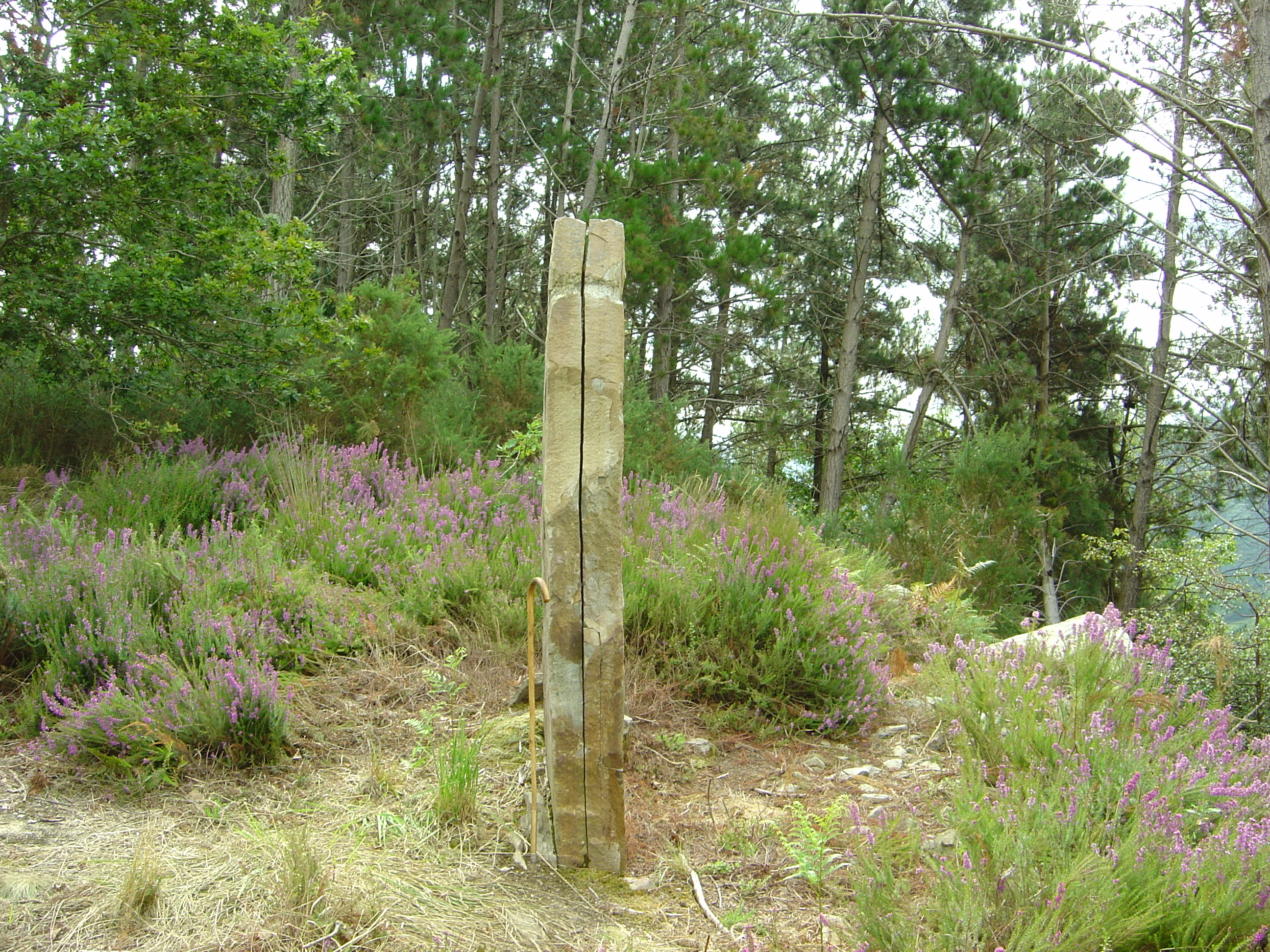 Monolito-Menhir Sorbitzuaga Julio 2009