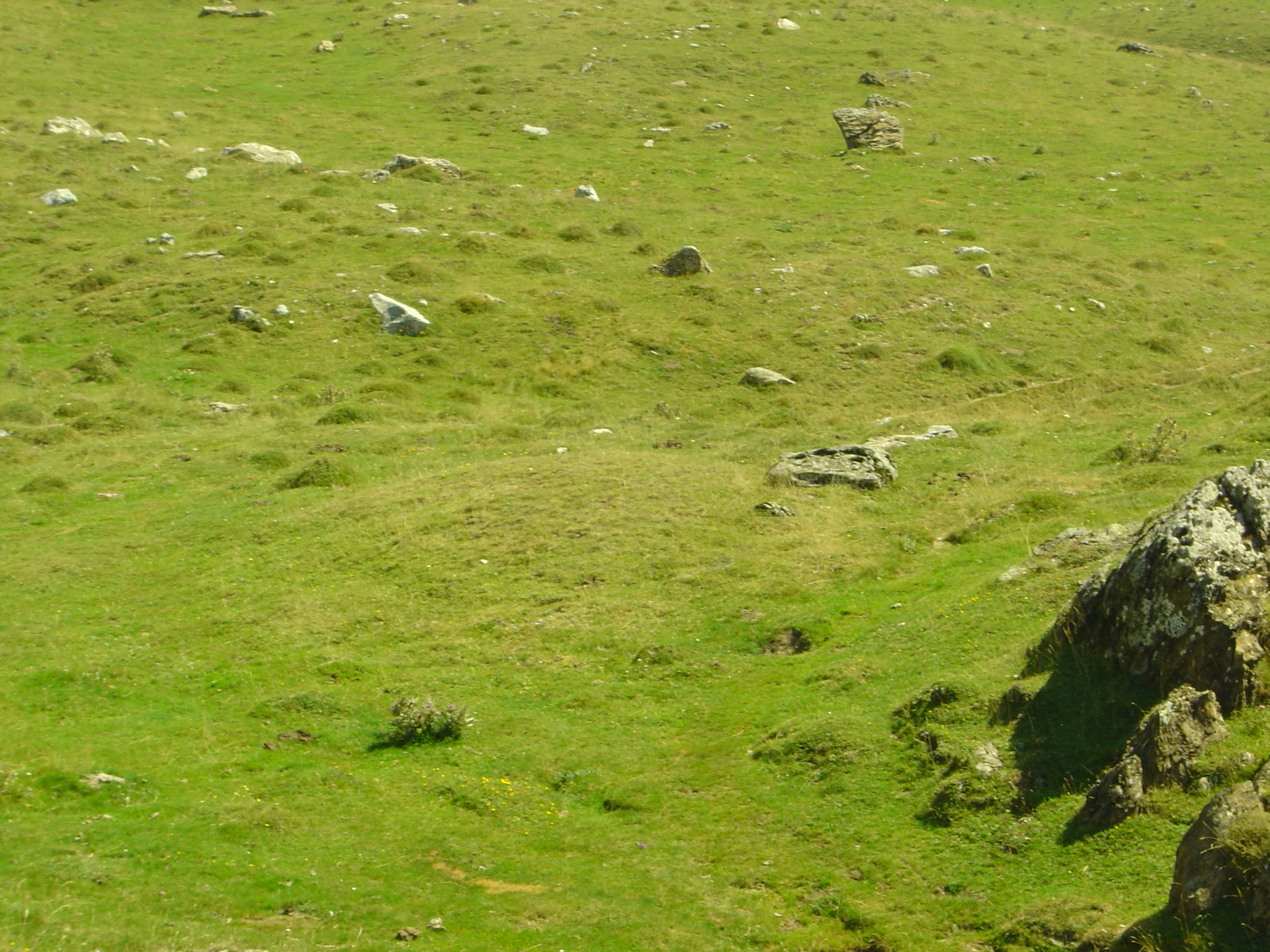 Eskilzarra Etxola Hondoa Agosto 2011