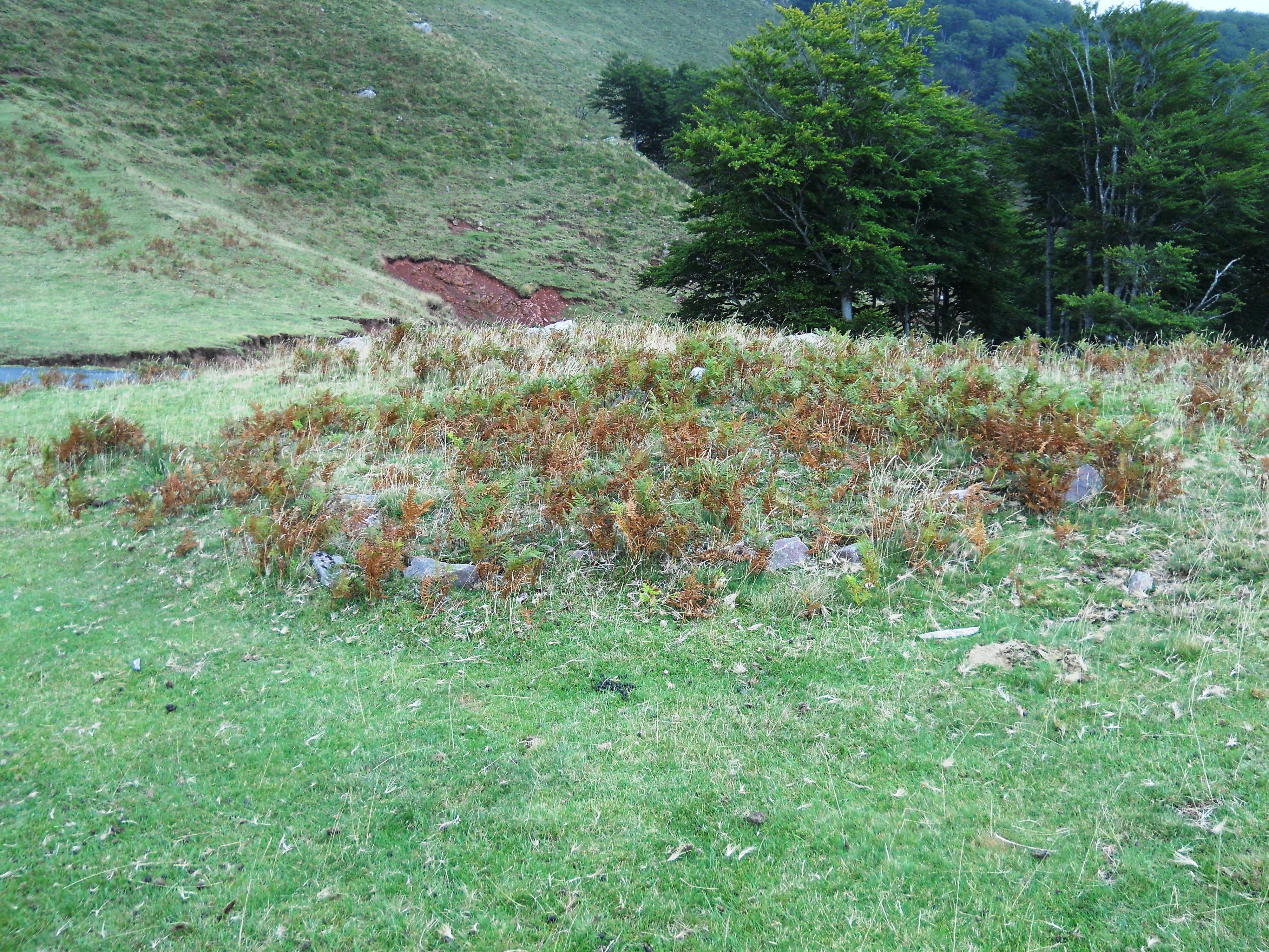 Ixtauzeko lepoko harrespila 1