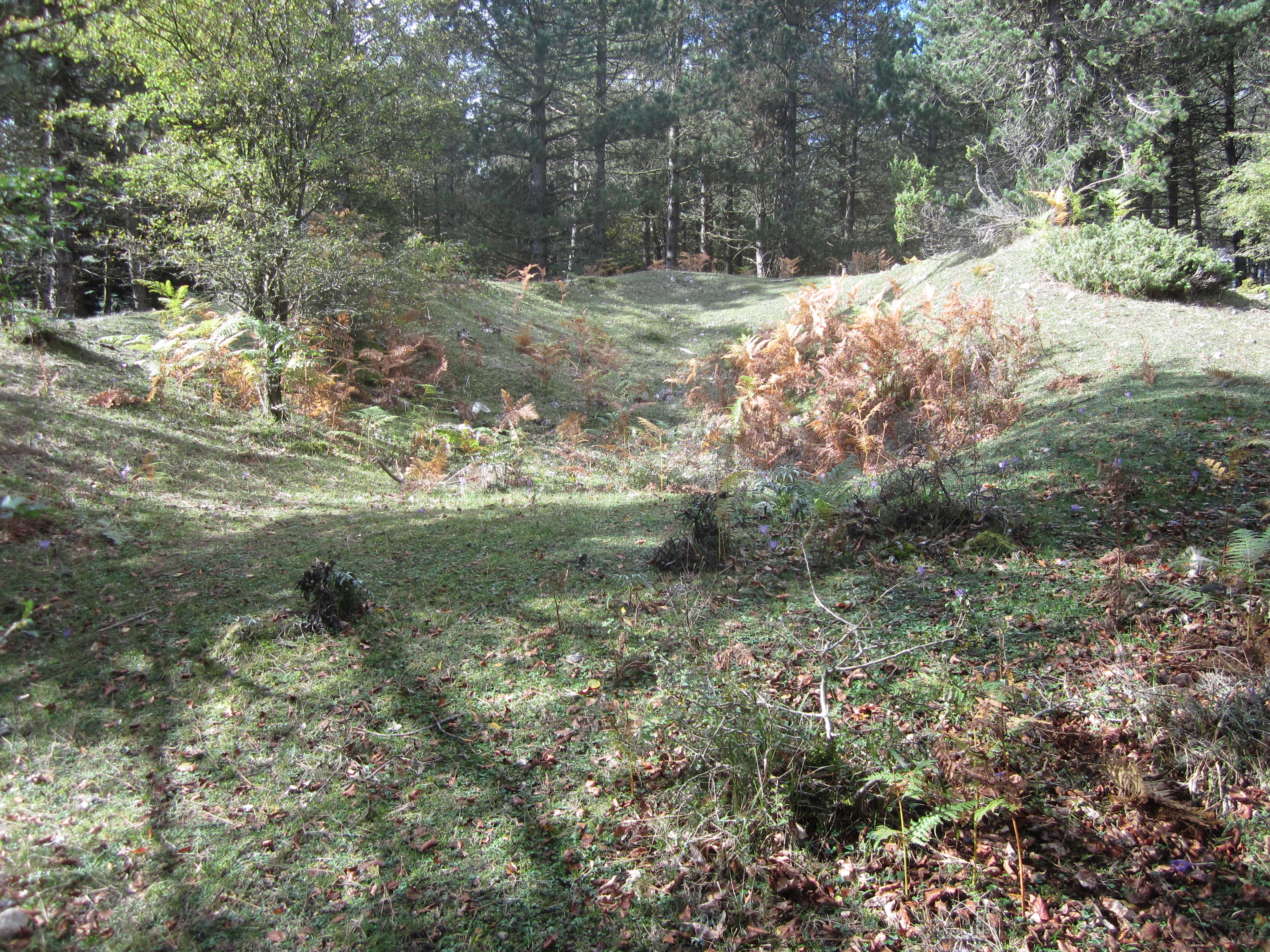 ¿Túmulo Lezana 1 ? Octubre 2013