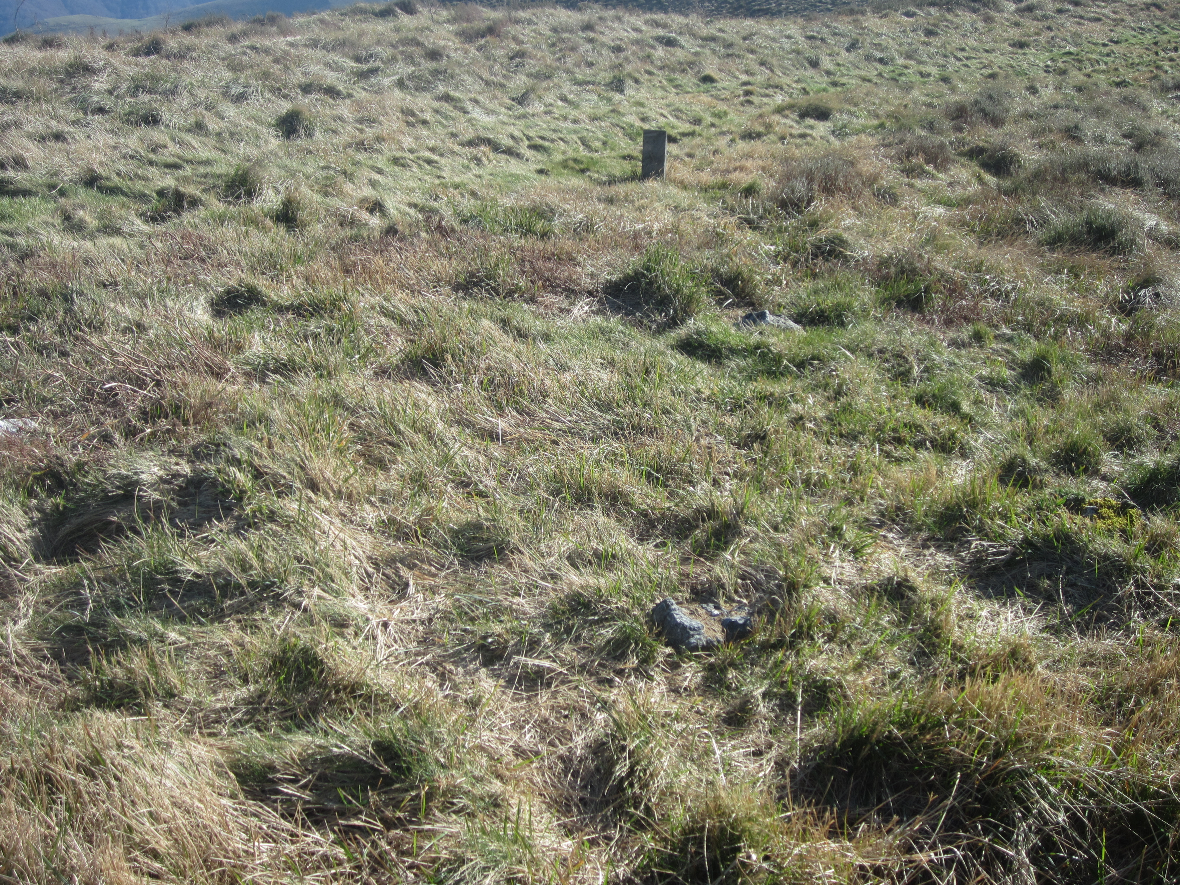 Cromlech Urkamendi Ipar (Marzo 2014)
