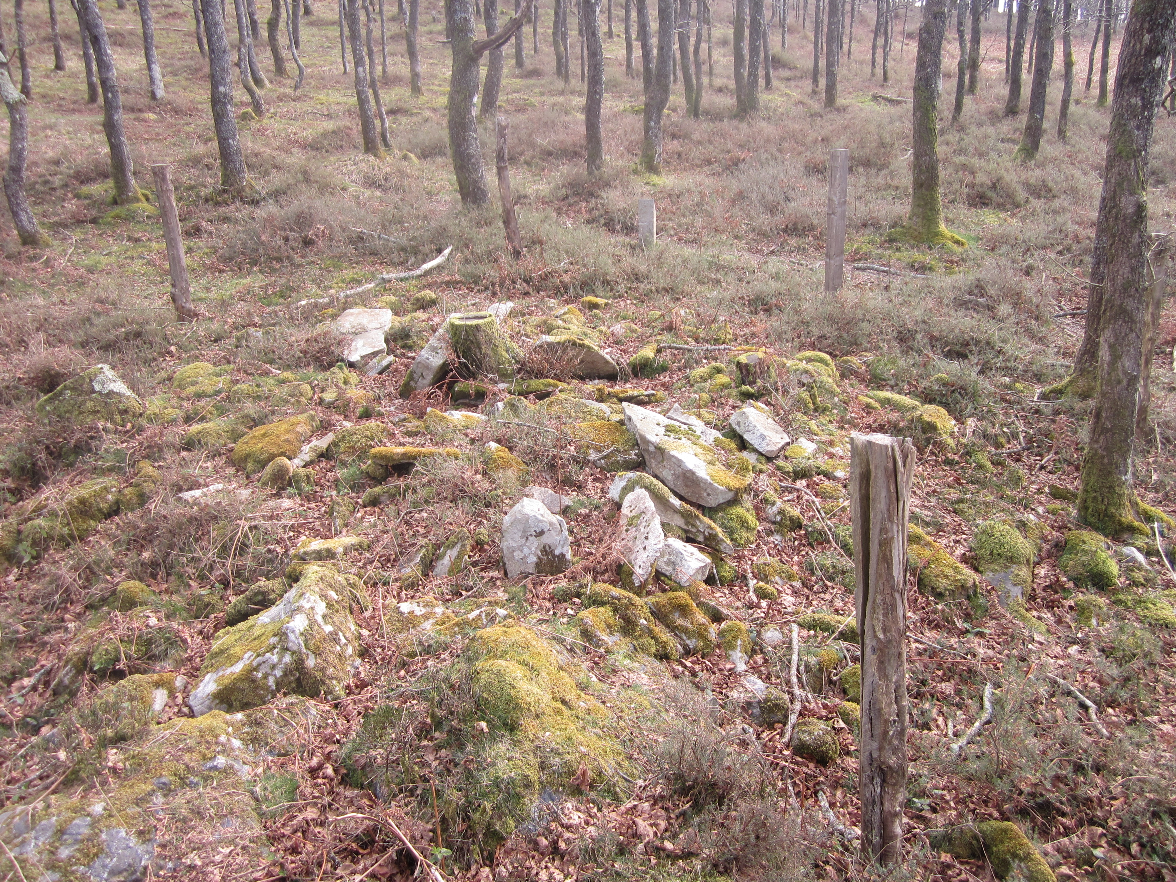 Dólmen Iruso 3 (Marzo 2014)