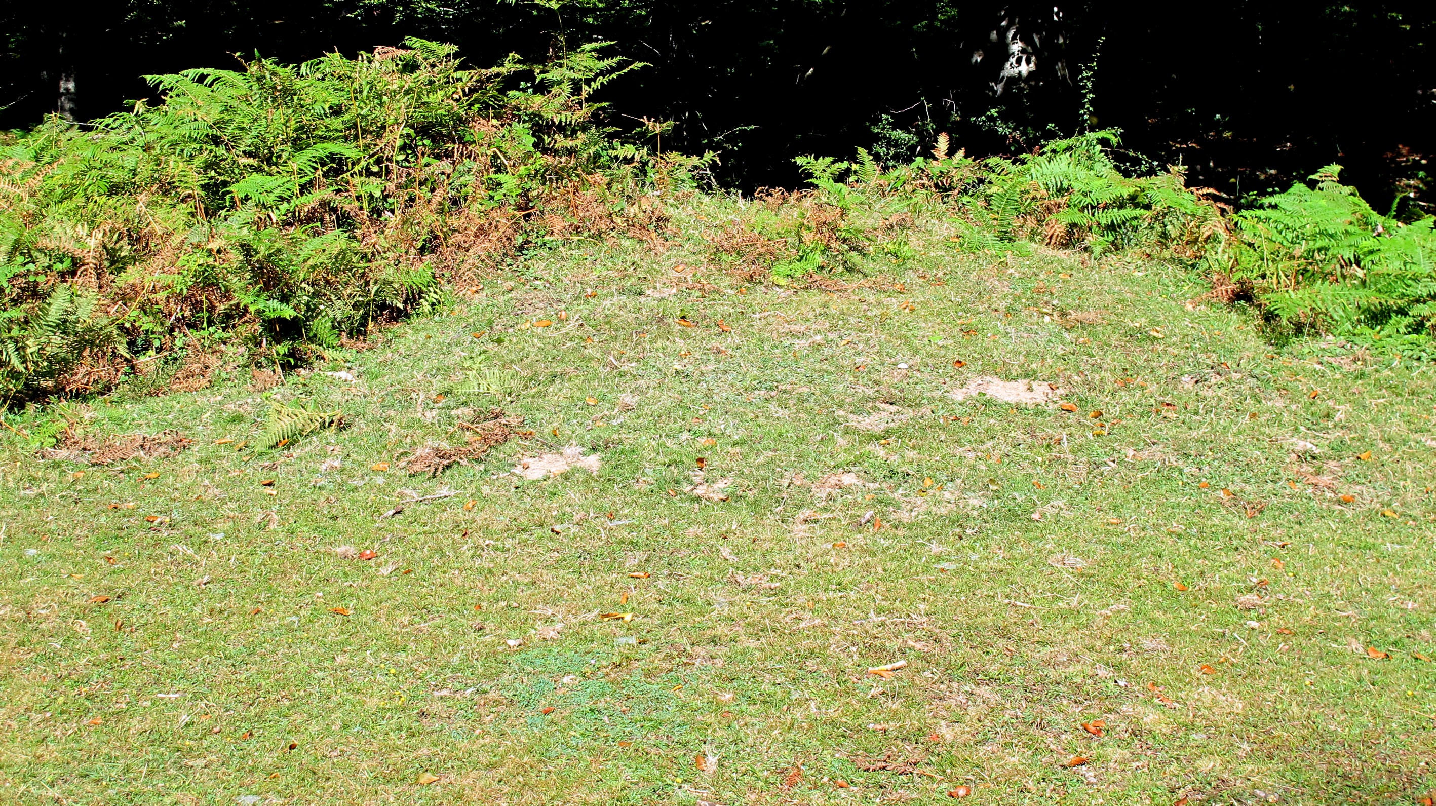 Larrakarte tumulua, Urbasa