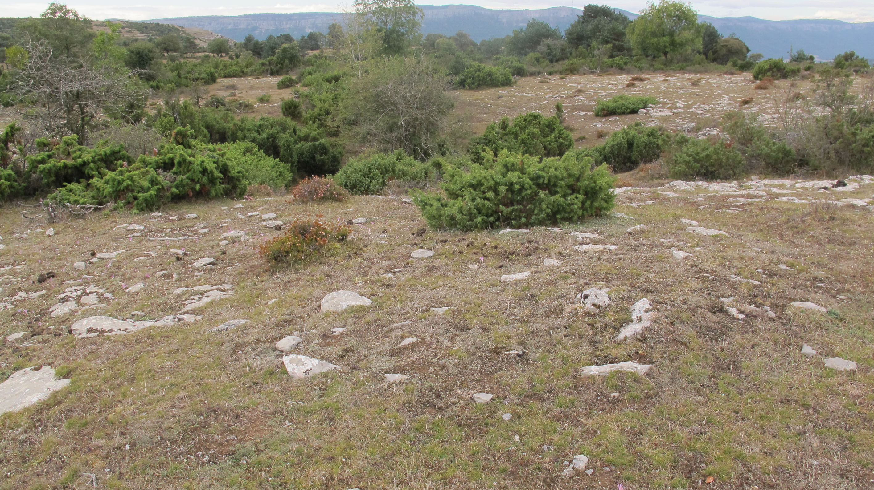 SB 12 tumulua, Badaia mendikatea