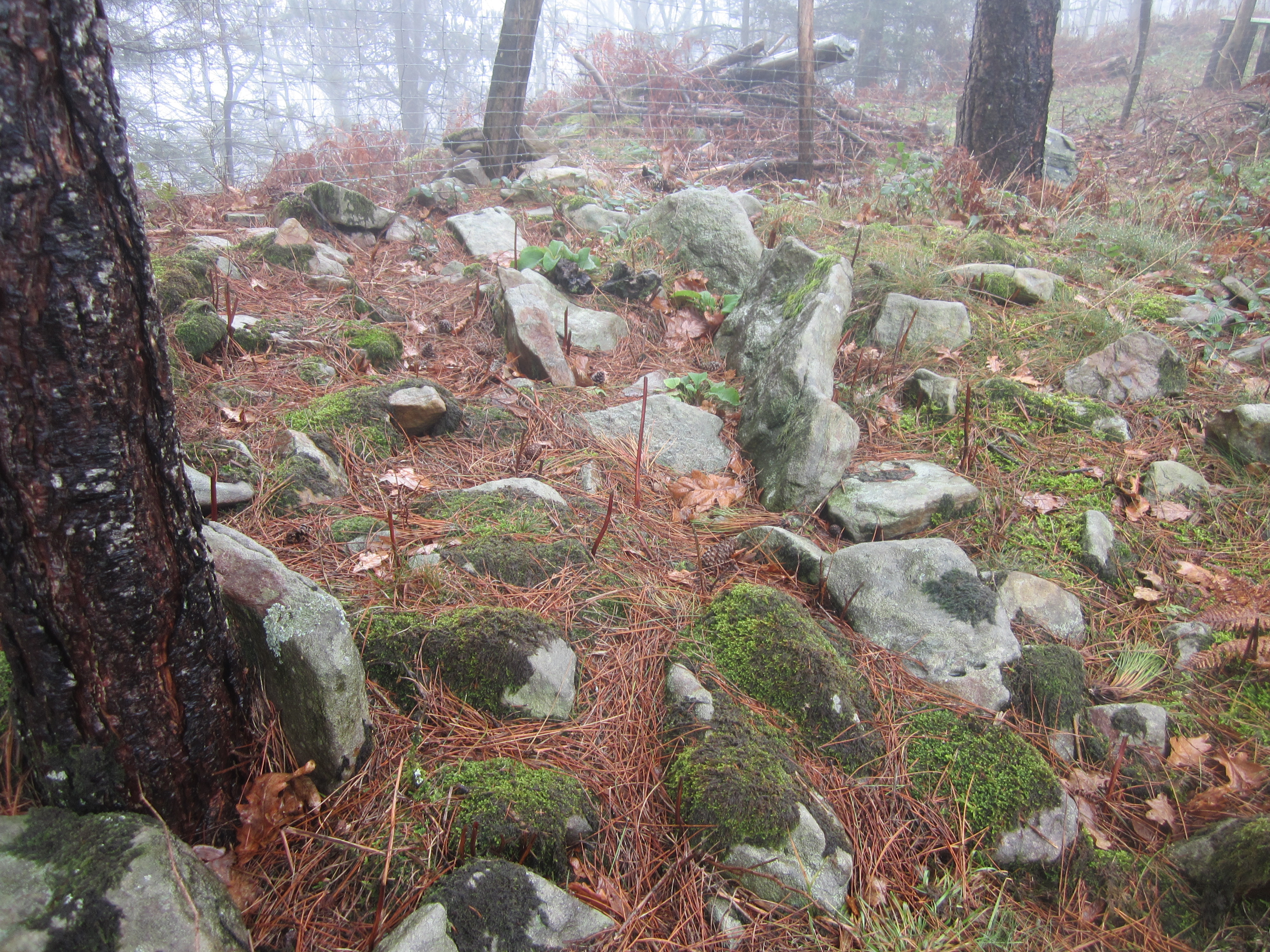 Dólmen Amutxanda (Diciembre 2014)