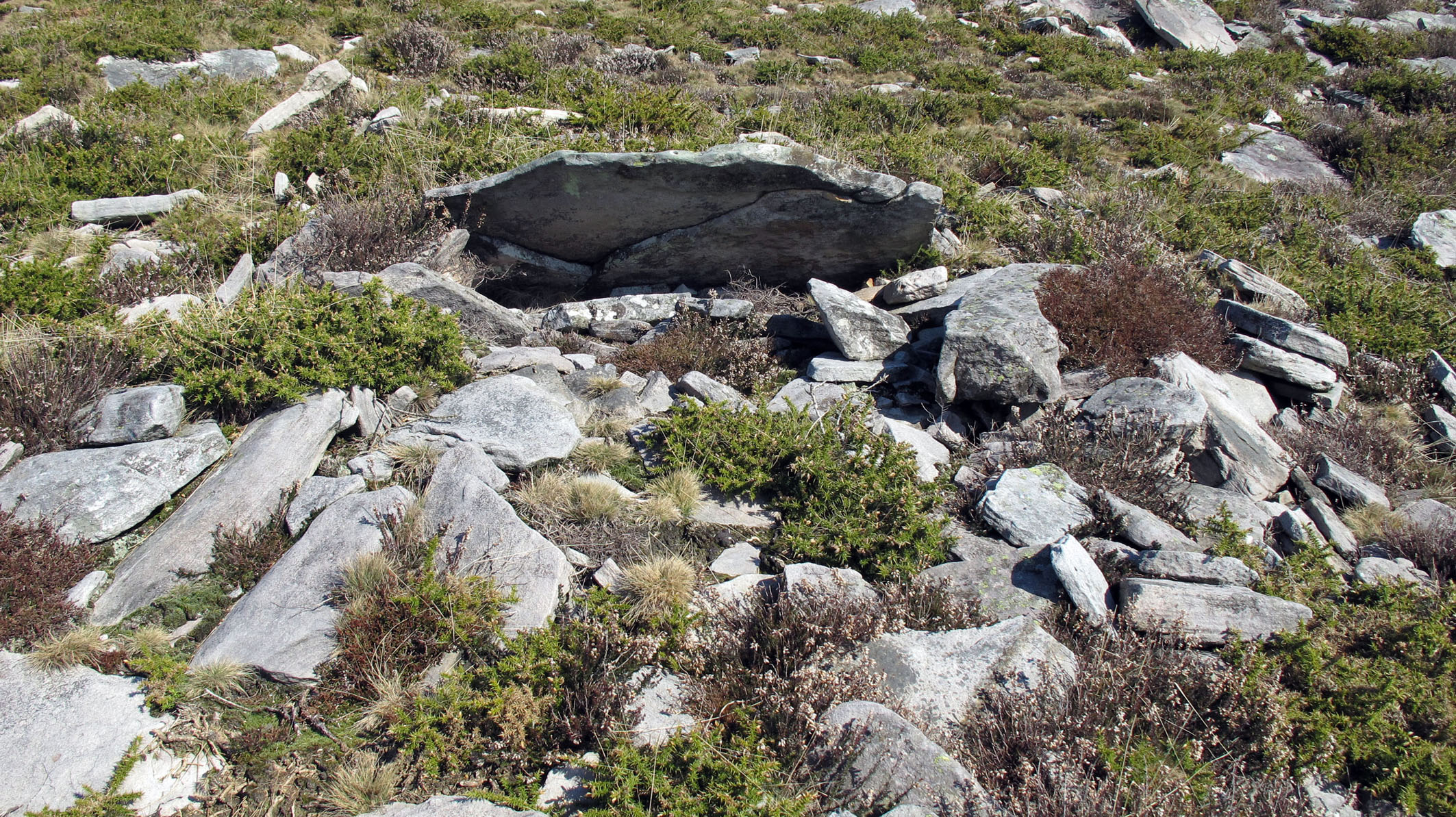 Latargi 5 trikuharria, Eratsun