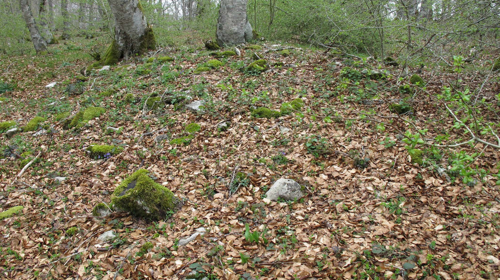 Bagaritxa 2 ekialde tumulua, Goñi