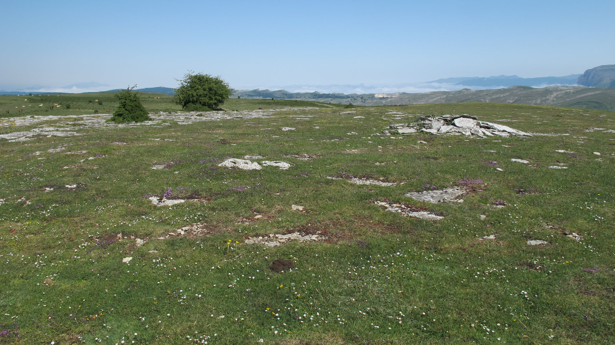 Sima de los Carneros eraztun-tumulua, Andia