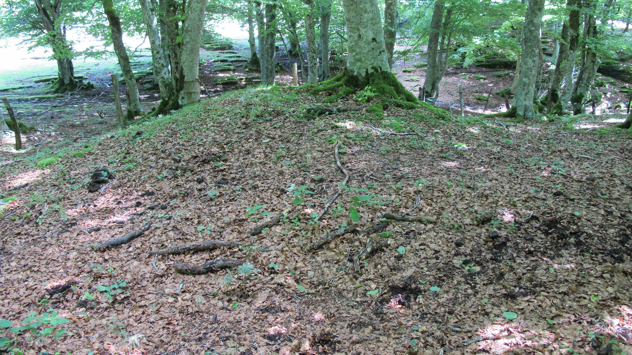 Larginburu tumulua, Iturgoien-Gesalatz