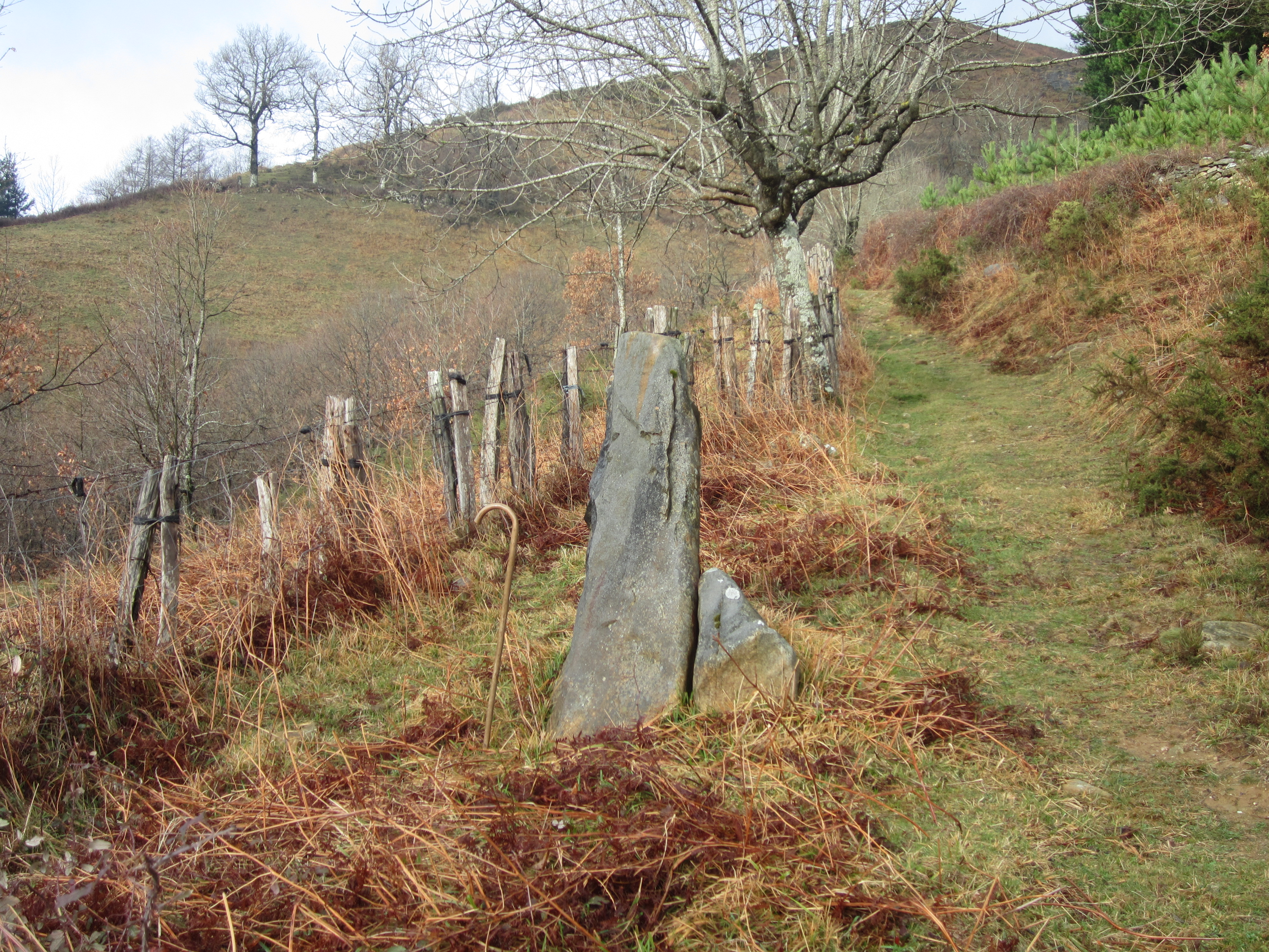 Menhir Belarregi (Febrero 2016)