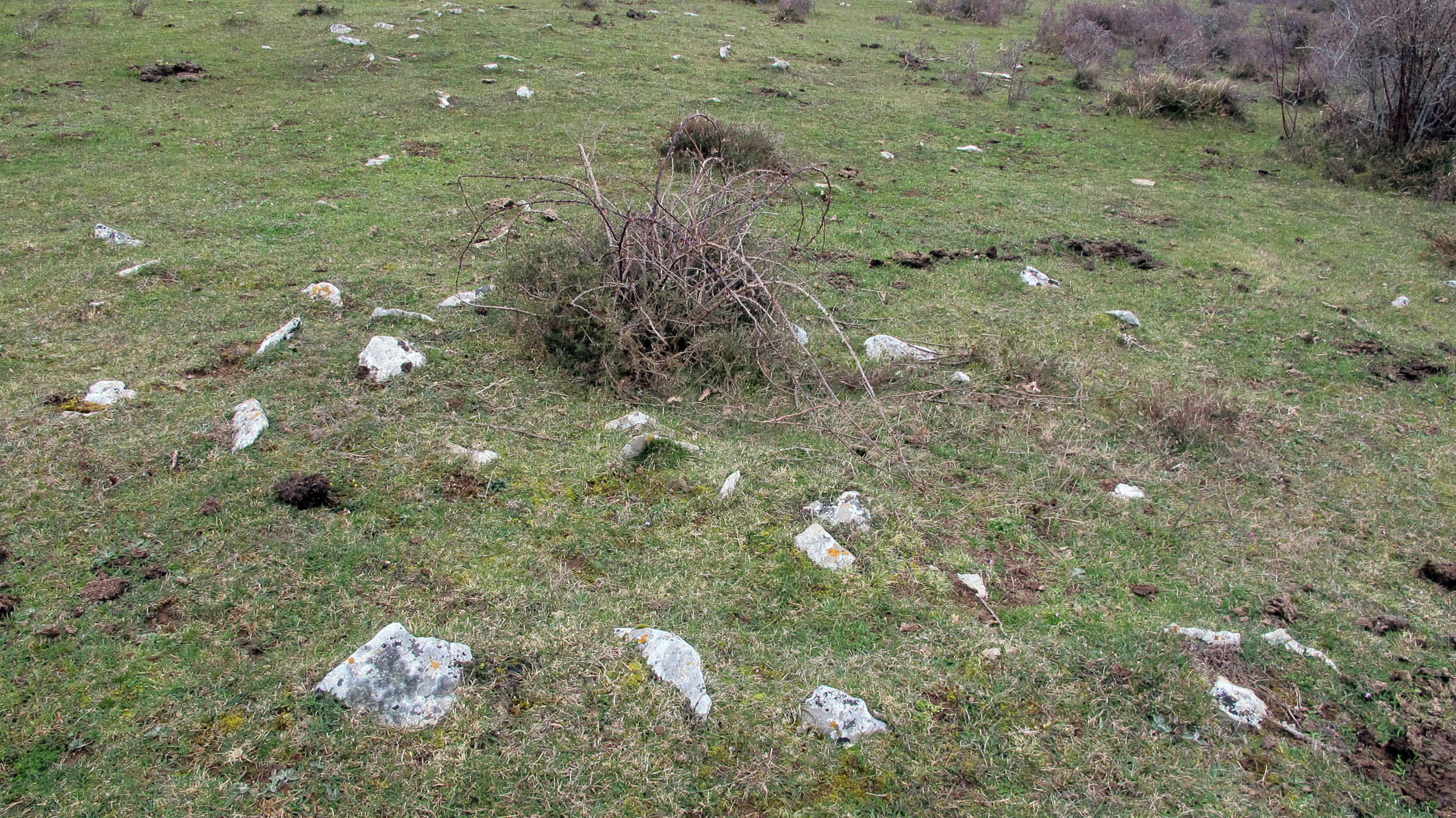 Arizdia 2 tumulua, Azantza-Goñi