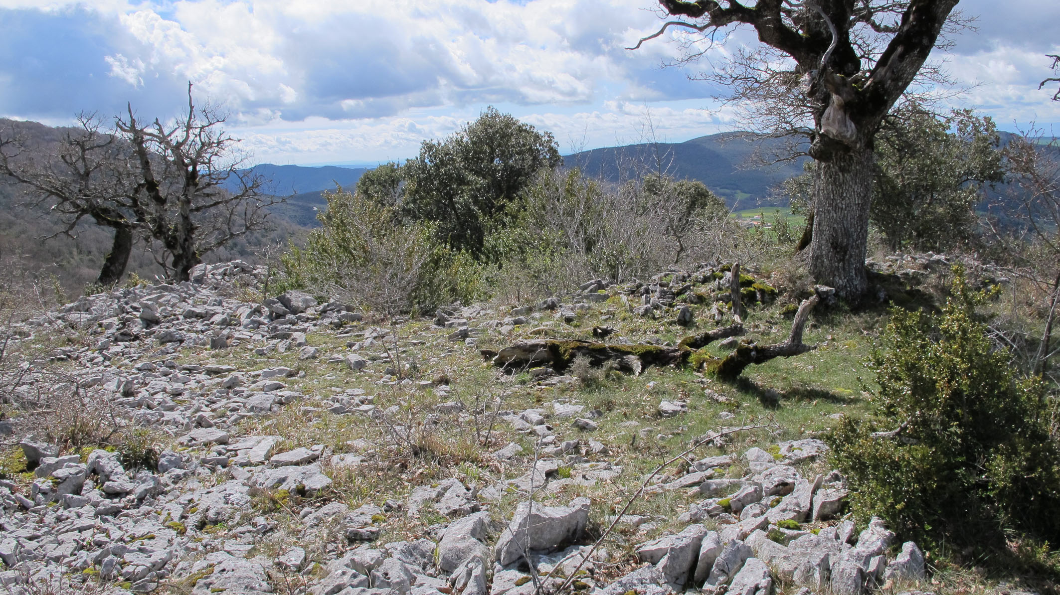 Obiarri tumulua, Azantza-Goñi