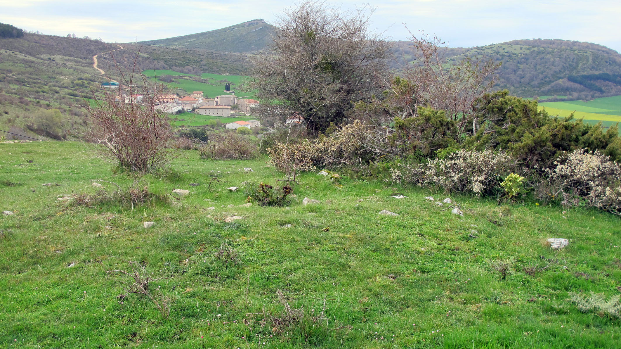 Alto de Irurbe 1 hego tumulua, Utzurrun-Goñi