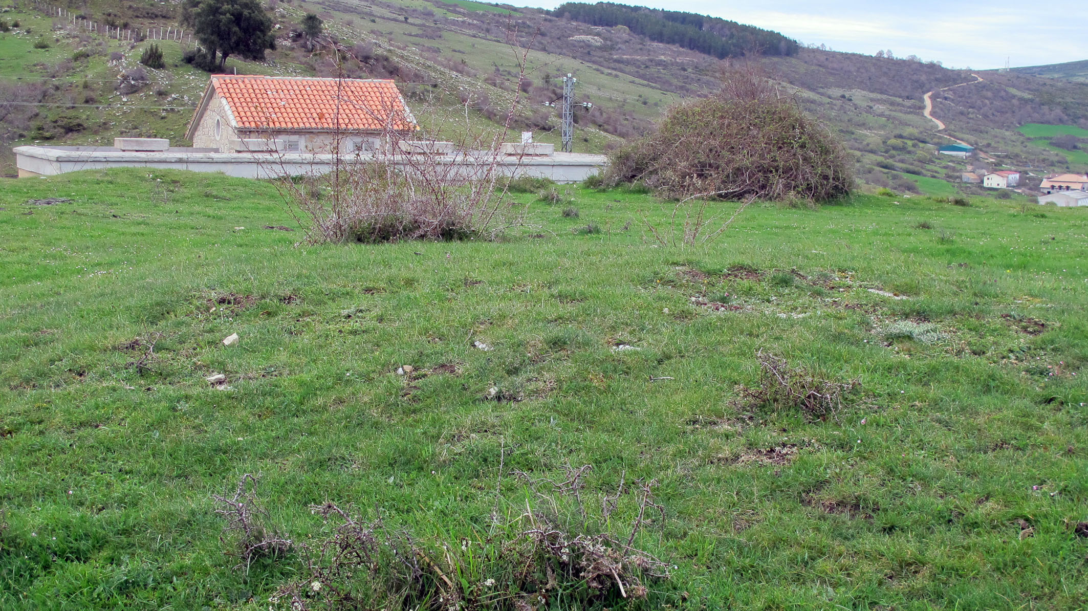 Alto de Irurbe 2 ipar tumulua, Ultzurrun-Ollo